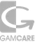 Footer1 logo